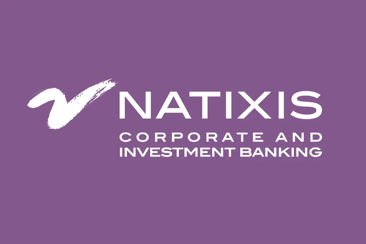 Natixis银行反白logo
