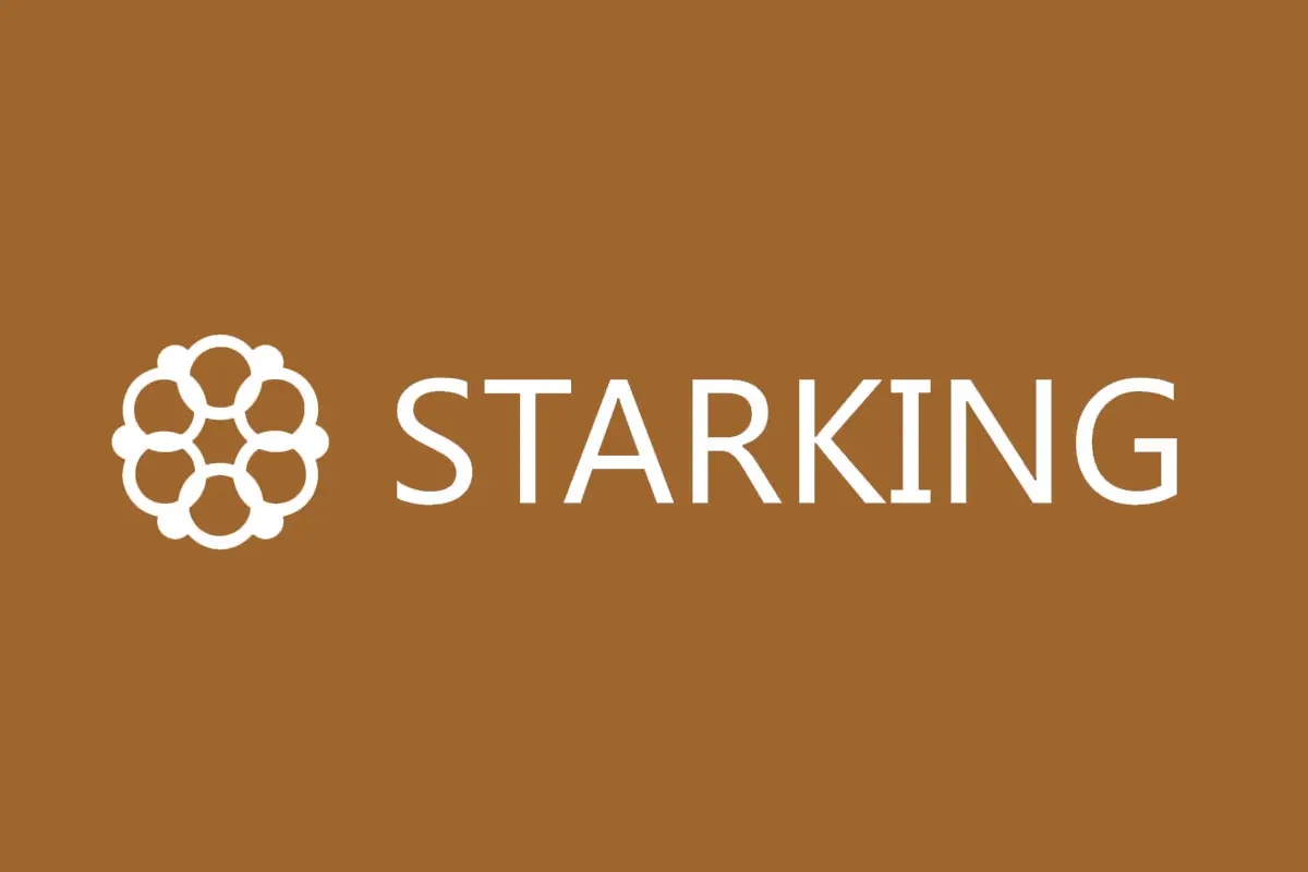 STARKING星皇表品牌反白LOGO