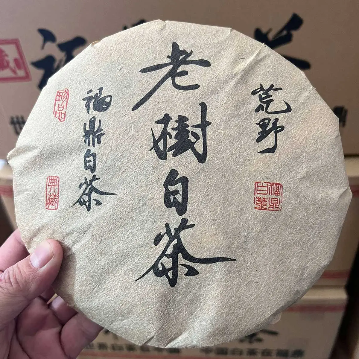 福鼎白茶茶饼图片