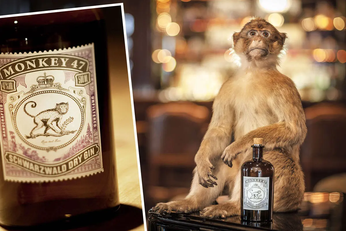 Monkey 47猴王47包装