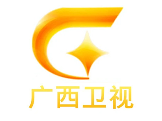 广西卫视设计含义及logo设计理念