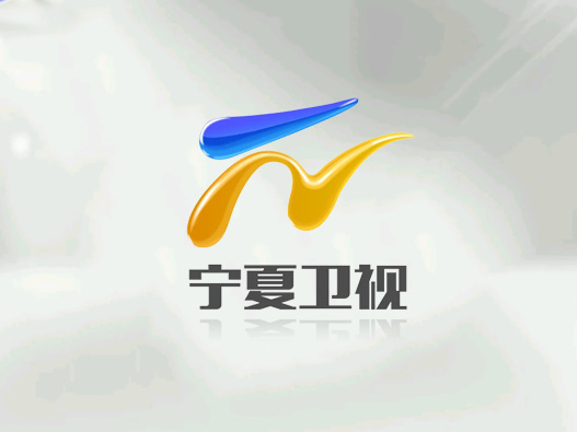 宁夏卫视设计含义及logo设计理念