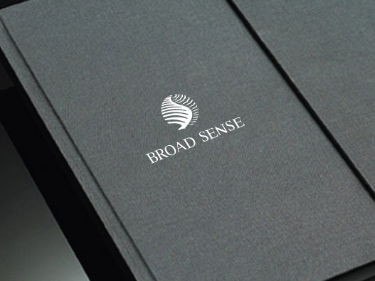 咨询公司商标设计-BROAD SENSE咨询商标设计公司