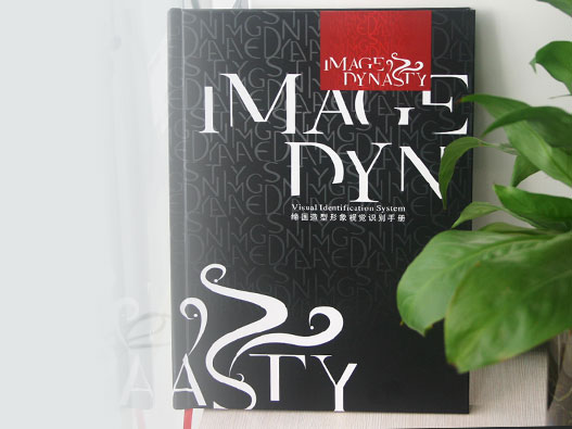 美发造型vi设计公司-Image Dynasty缔国造型vi手册