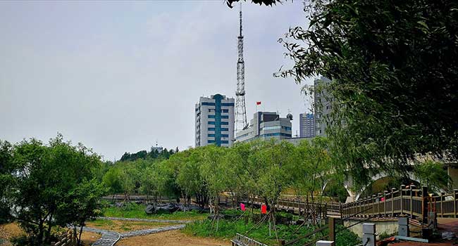 顺城区