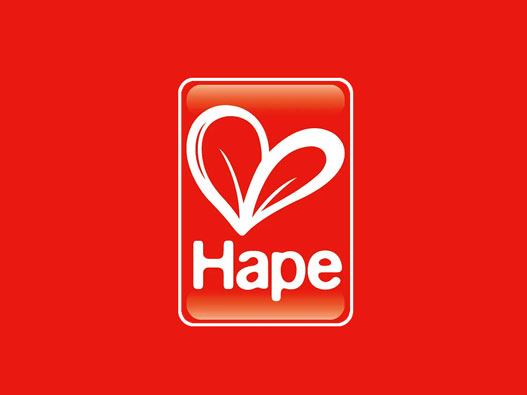 学步车logo设计-Hape品牌logo设计