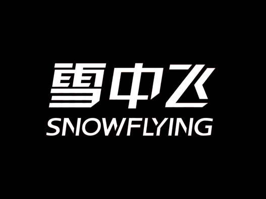 服装logo设计-雪中飞品牌logo设计
