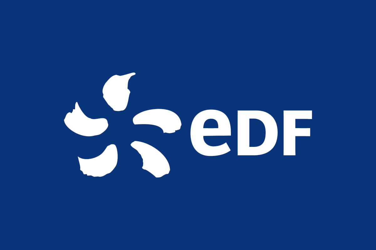 法国EDF电力反白logo