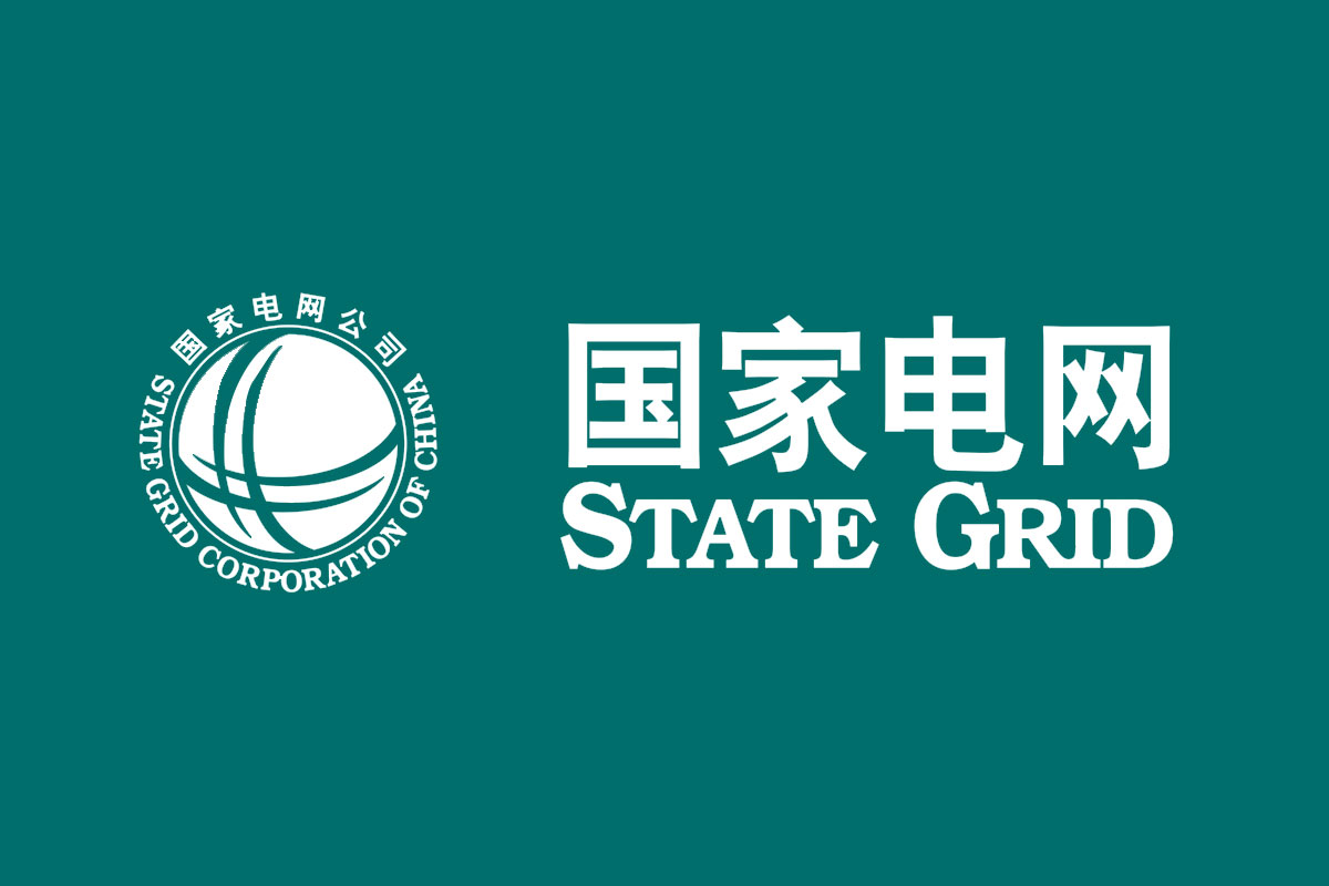 国家电网反白logo