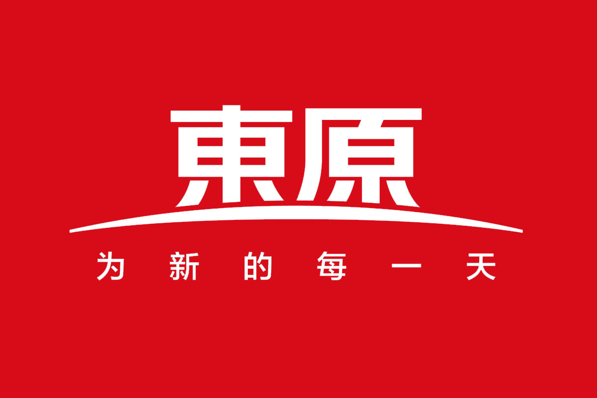 东原地产反白logo