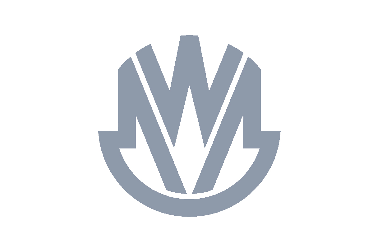 MW Motors汽车logo