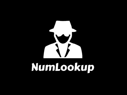 NumLookup标志设计含义及设计理念