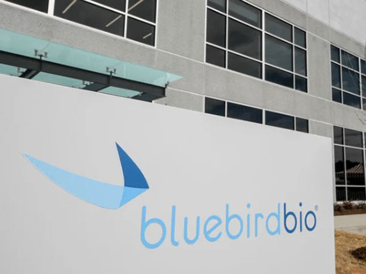 Bluebird Bio蓝鸟生物logo设计含义解读及基因治疗品牌标志设计理念