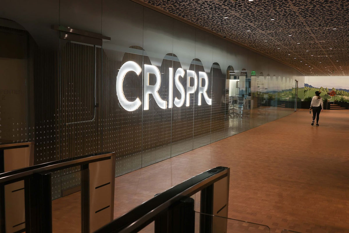 CRISPR Therapeutics克瑞普斯办公室图片