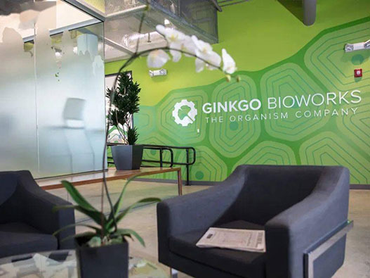 Ginkgo Bioworks标志设计含义解读及基因编辑品牌logo设计理念