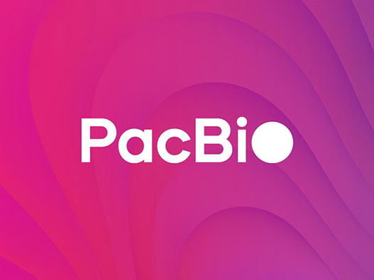 PacBio生物技术logo设计含义解读及基因测序品牌标志设计理念