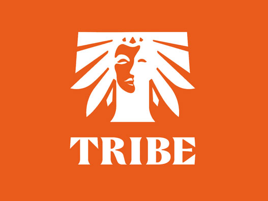 TRIBE标志设计含义及设计理念