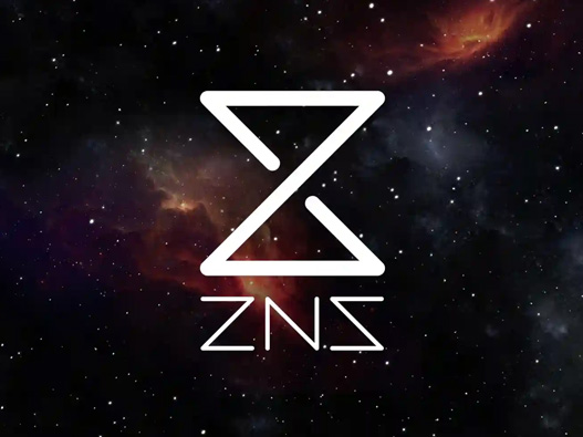 ZNS logo设计图片