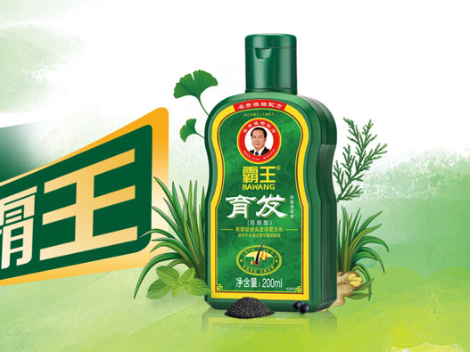霸王logo设计含义及洗发水品牌标志设计理念