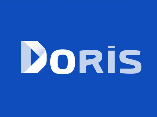 DORIS logo设计含义及设计理念