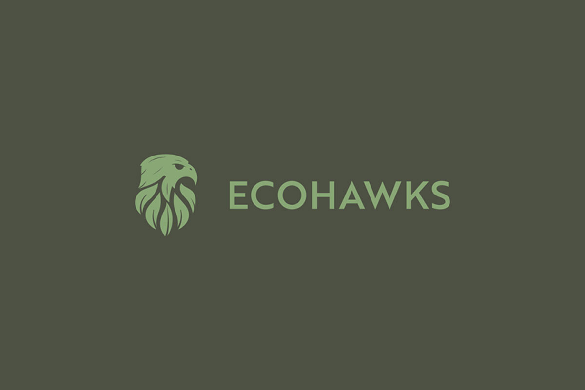 国外Ecohawks品牌VI设计欣赏