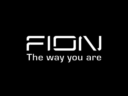 FION logo设计含义及设计理念