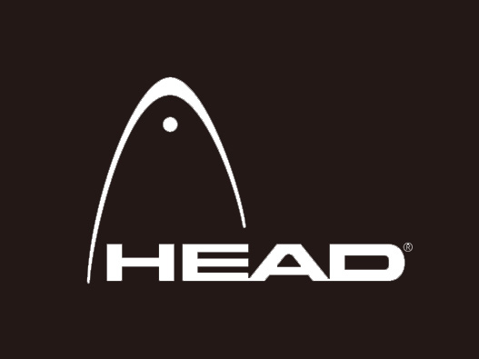 海德logo