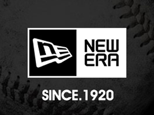 NewEra纽亦华logo
