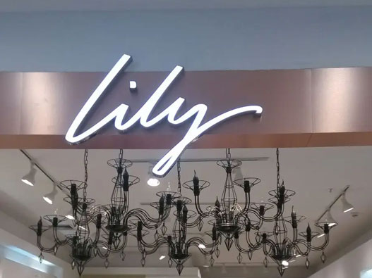 LILY logo设计含义及女装品牌标志设计理念