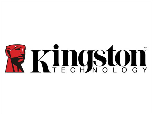Kingston金士顿logo