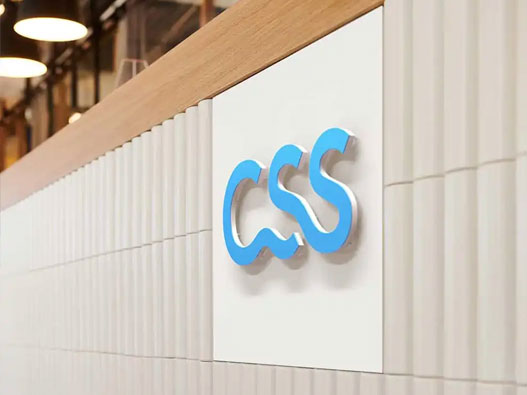 CSS Versicherung logo设计含义及保险标志设计理念