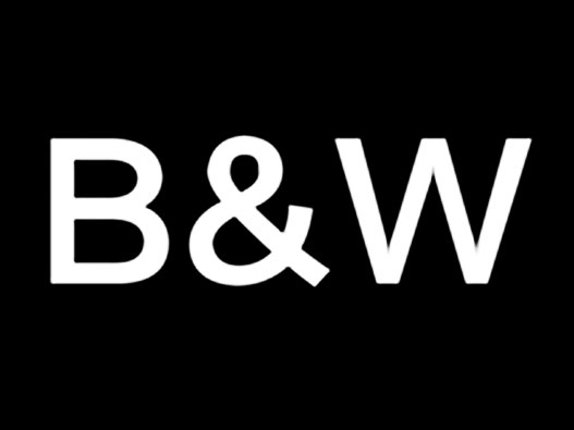 B&W标志
