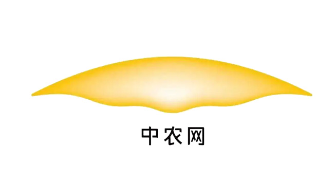 中农网logo设计含义及b2b标志设计理念
