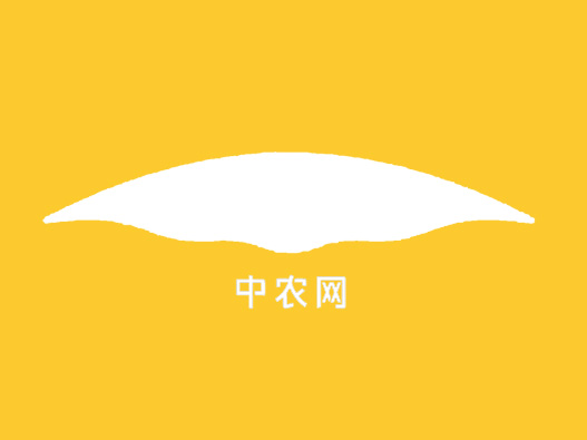 中农网logo设计含义及b2b标志设计理念