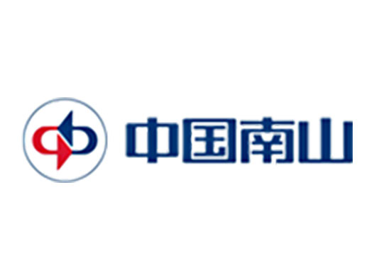 中国南山logo