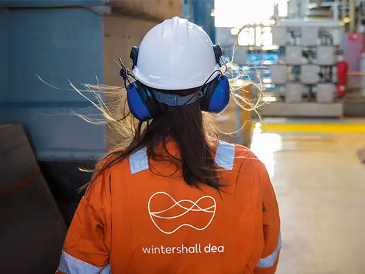 Wintershall Dea标志图片