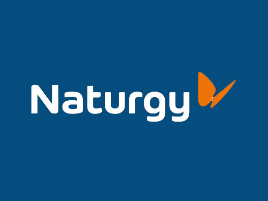 Naturgy 标志图片