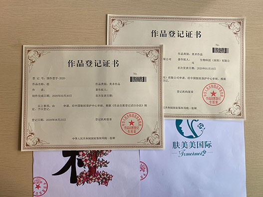 中国版权登记;著作权登记;版权作品图片