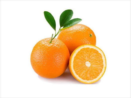 橙子商标注册图片